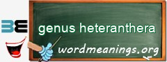 WordMeaning blackboard for genus heteranthera